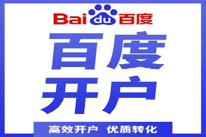 知名SEM公司案例分析：优化策略与成果