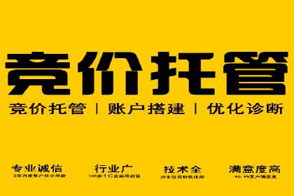 SEM主管的角色与职责：成功案例解析